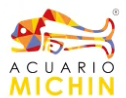 acuario-michin
